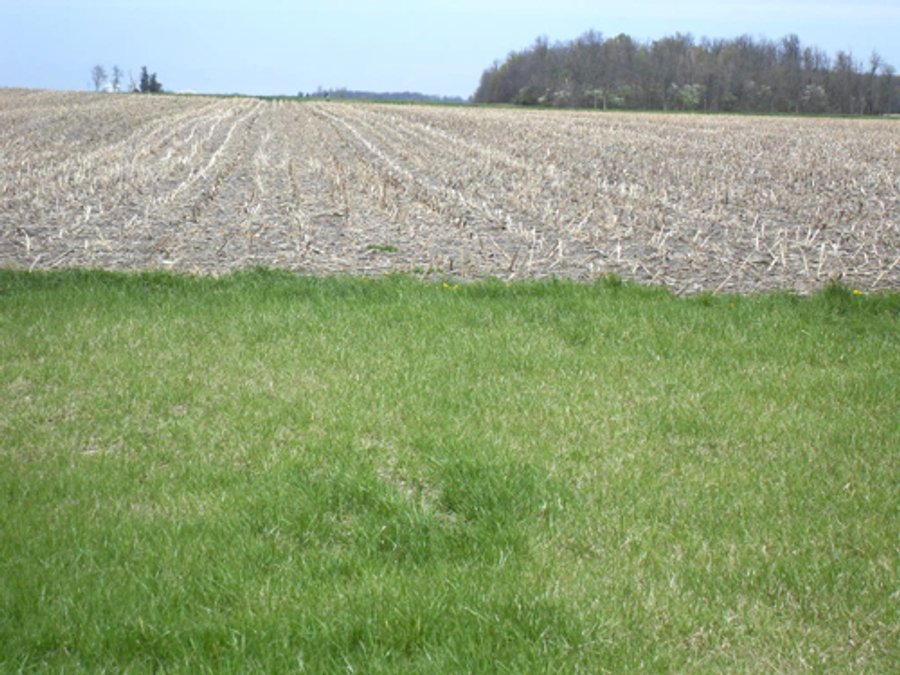 For sale: Prime Indiana Cropland - 342.76 Acres Offered in 2 Separate Farms - Lynn, IN